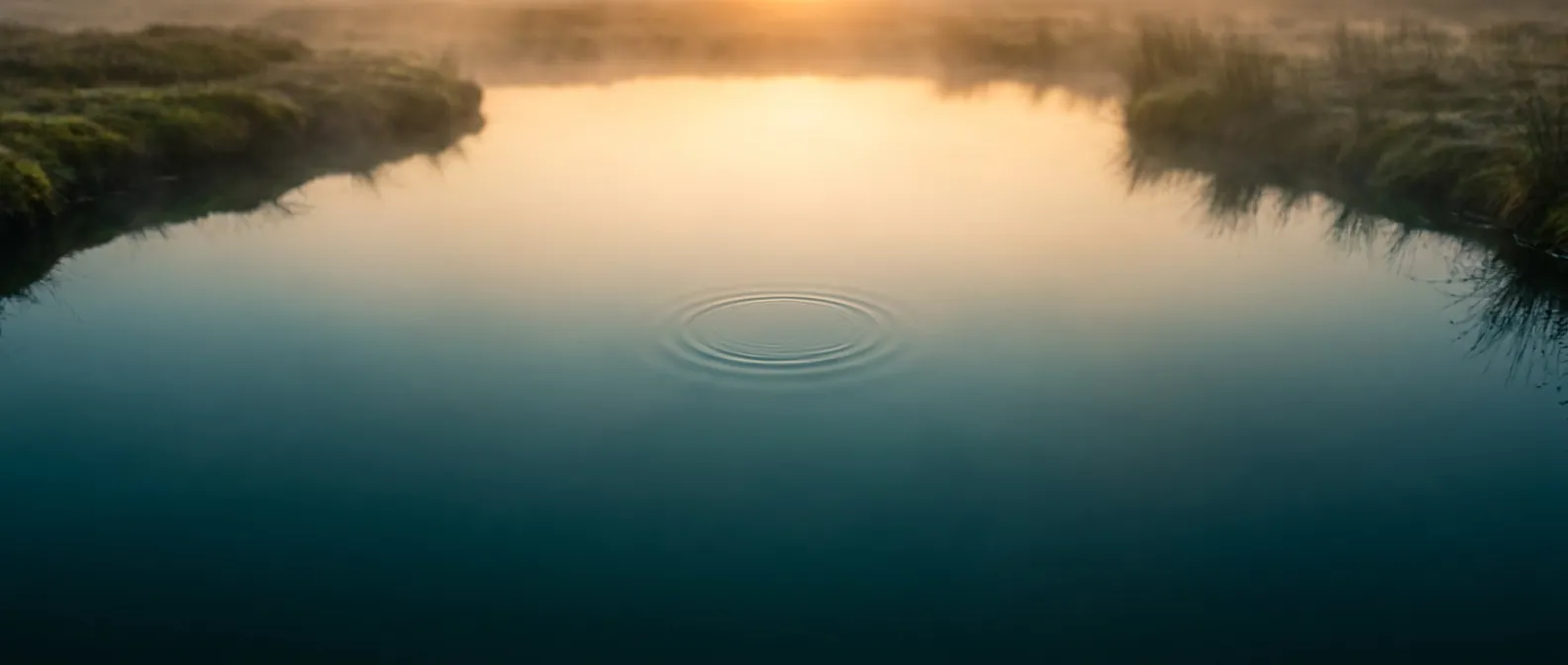 Eine ruhige Wasseroberfläche im warmen Morgenlicht; ein erster sanfter Ring breitet sich aus.